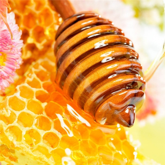 flor de canola pura miel miel de colza 