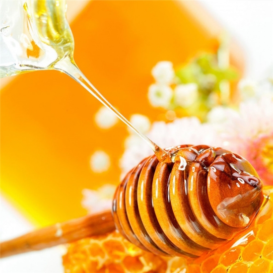 prima original de girasol natural miel halal 